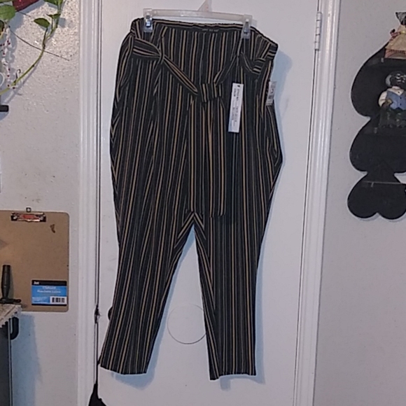 BODY BY 🇺🇸 PANTS - Picture 1 of 5